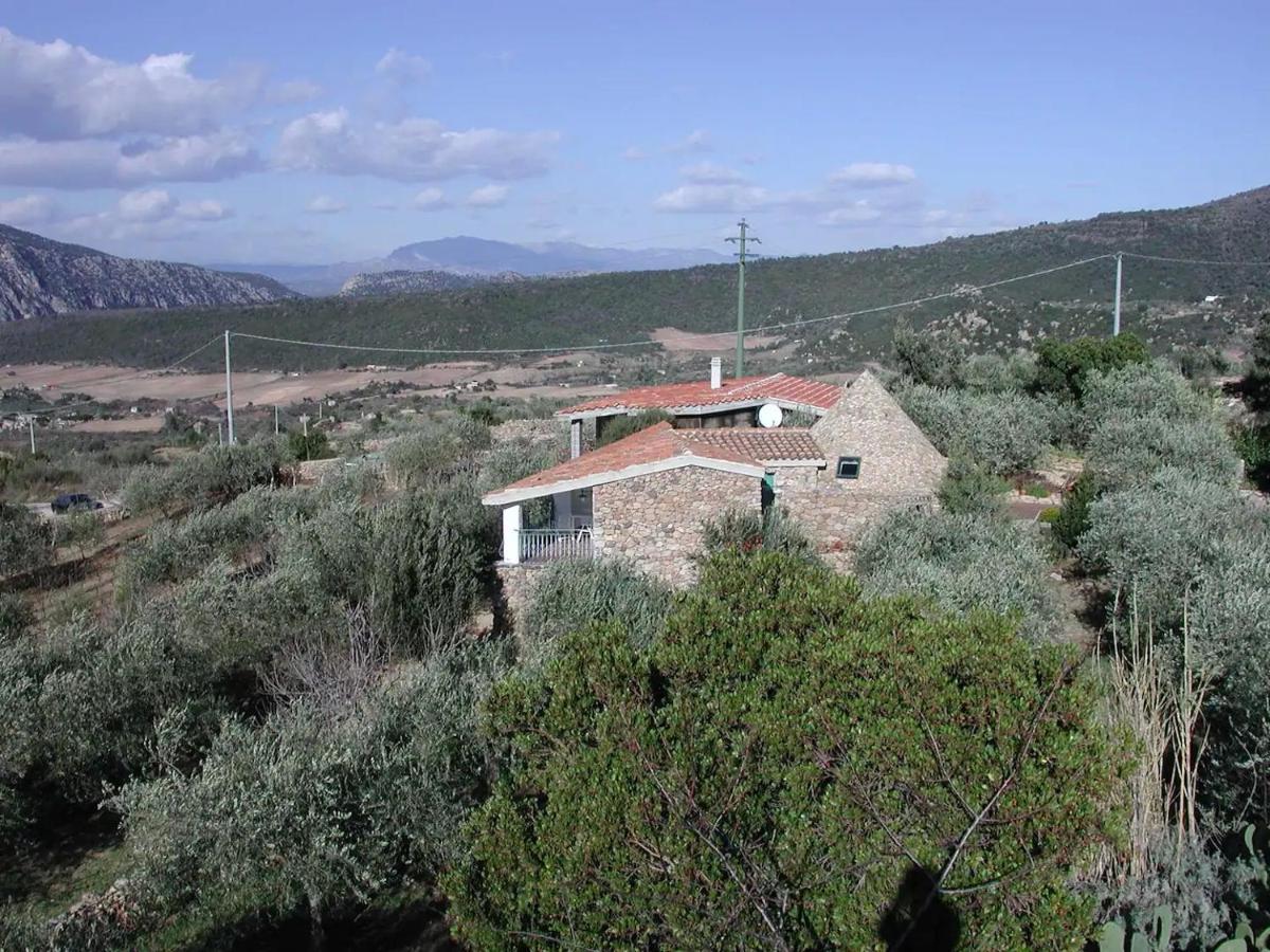 Hotel Casa In Campagna Dorgali Exterior foto